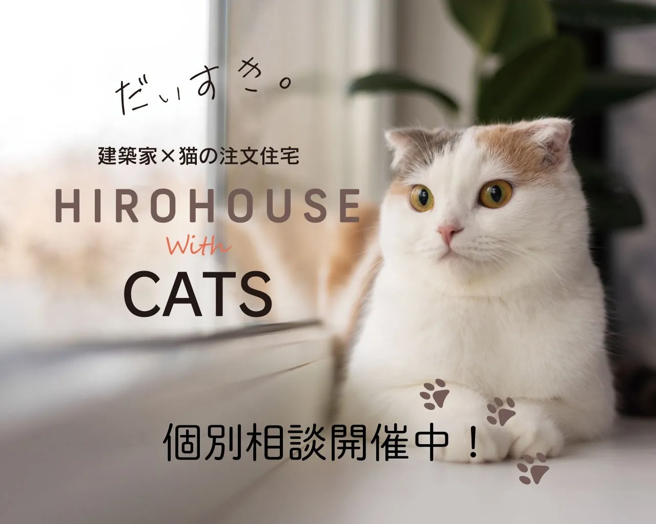猫専門注文住宅　相談会開催中！