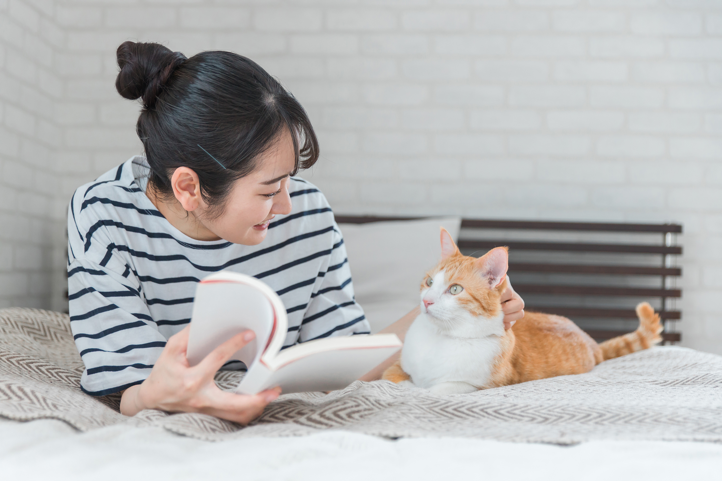 建築家に託した「猫ファースト」の理想