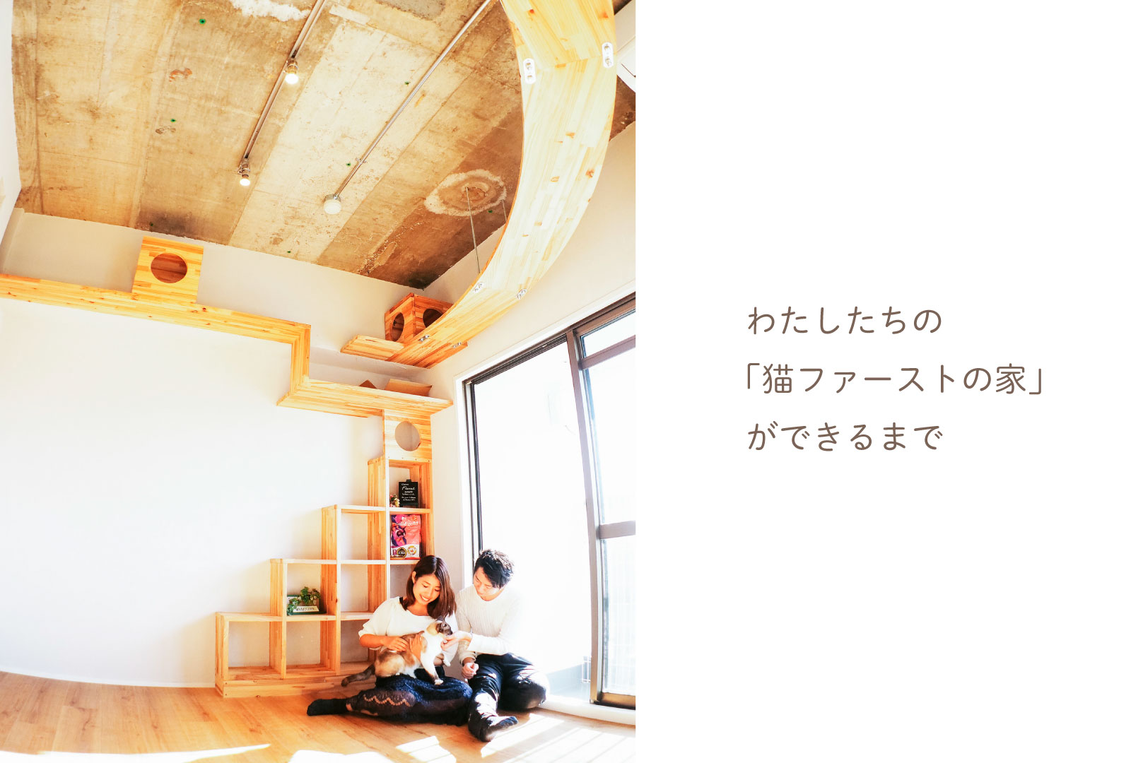 わたしたちの「猫ファーストの家」ができるまで。～運命の出会い編～